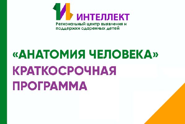 Вниманию учащихся 10-х классов! Объявляется набор на профильную программу по биологии «Анатомия человека»!